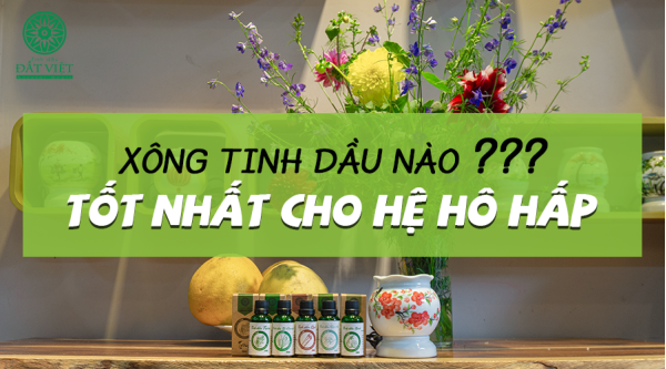 Xông tinh dầu nào tốt nhất cho hệ hô hấp | Tinh Dầu Đất Việt